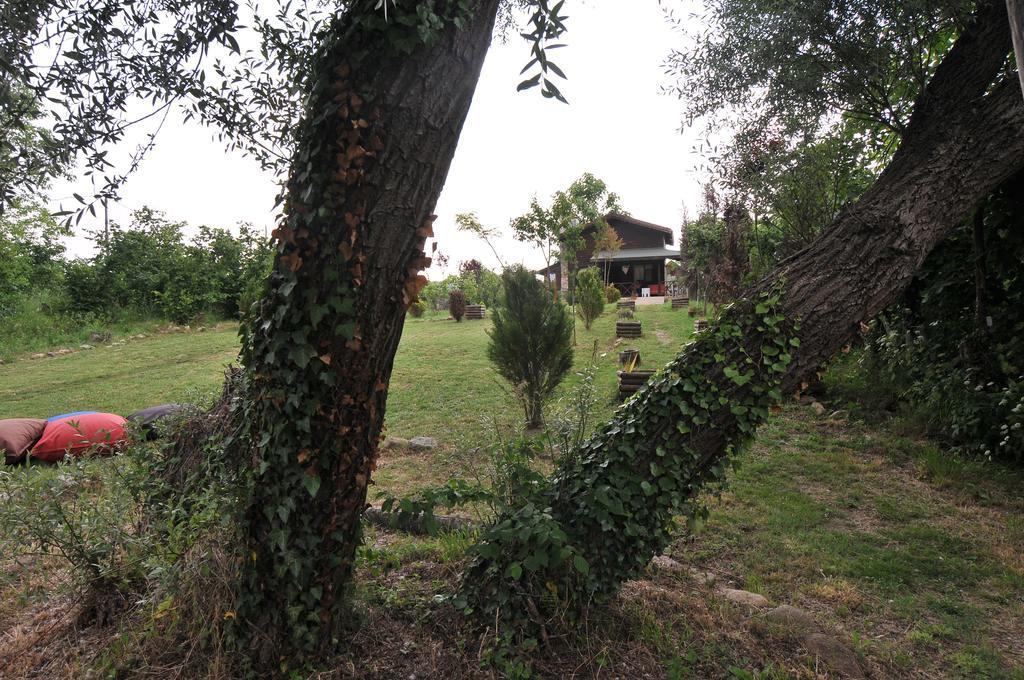 Agva Nehir Perisi Hotel Goce Rom bilde