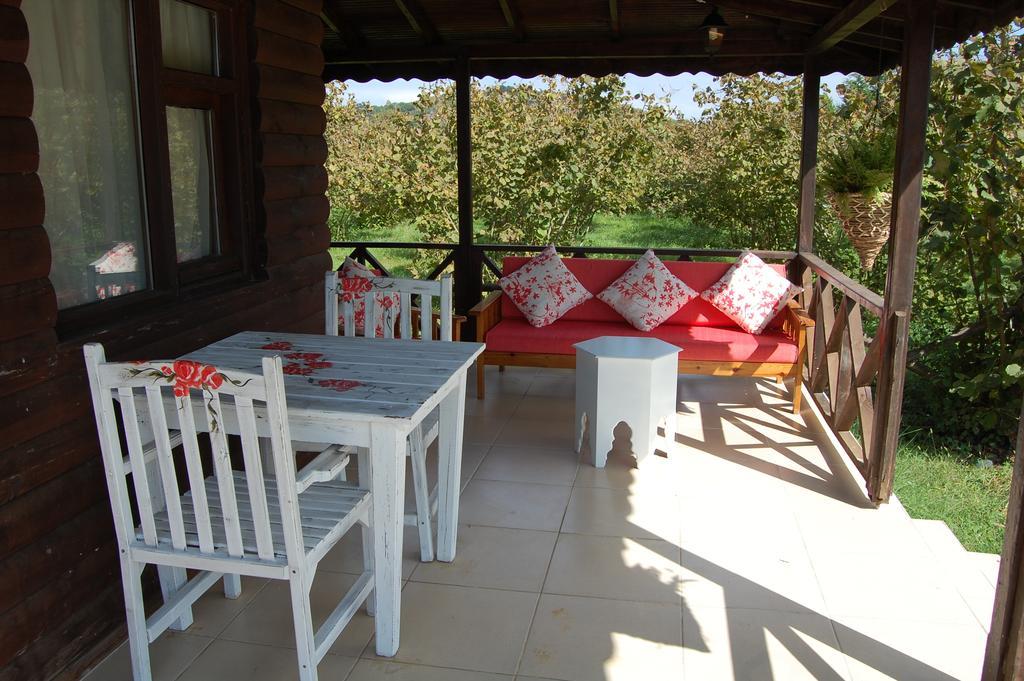 Agva Nehir Perisi Hotel Goce Rom bilde